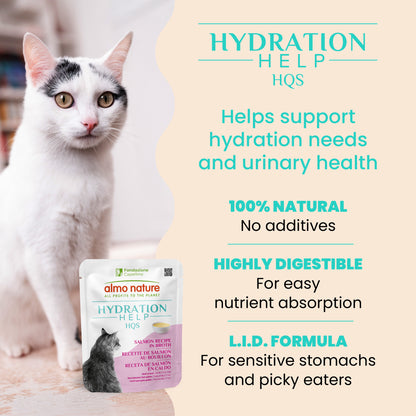 Almo Nature HQS Hydration Help Salmon Recipe in Broth for Cats