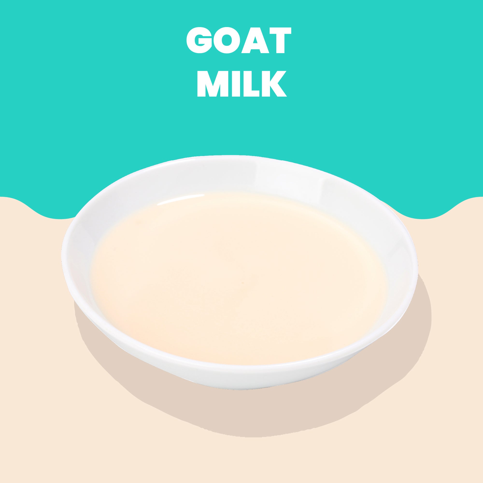 Almo Nature HQS Hydration Help Goat Milk Recipe for Cats