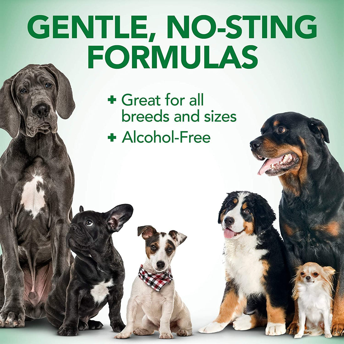 Vets Best Allergy Itch Relief Spray