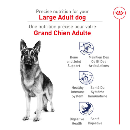 Royal Canin Croquettes Chien Grande Race Adulte