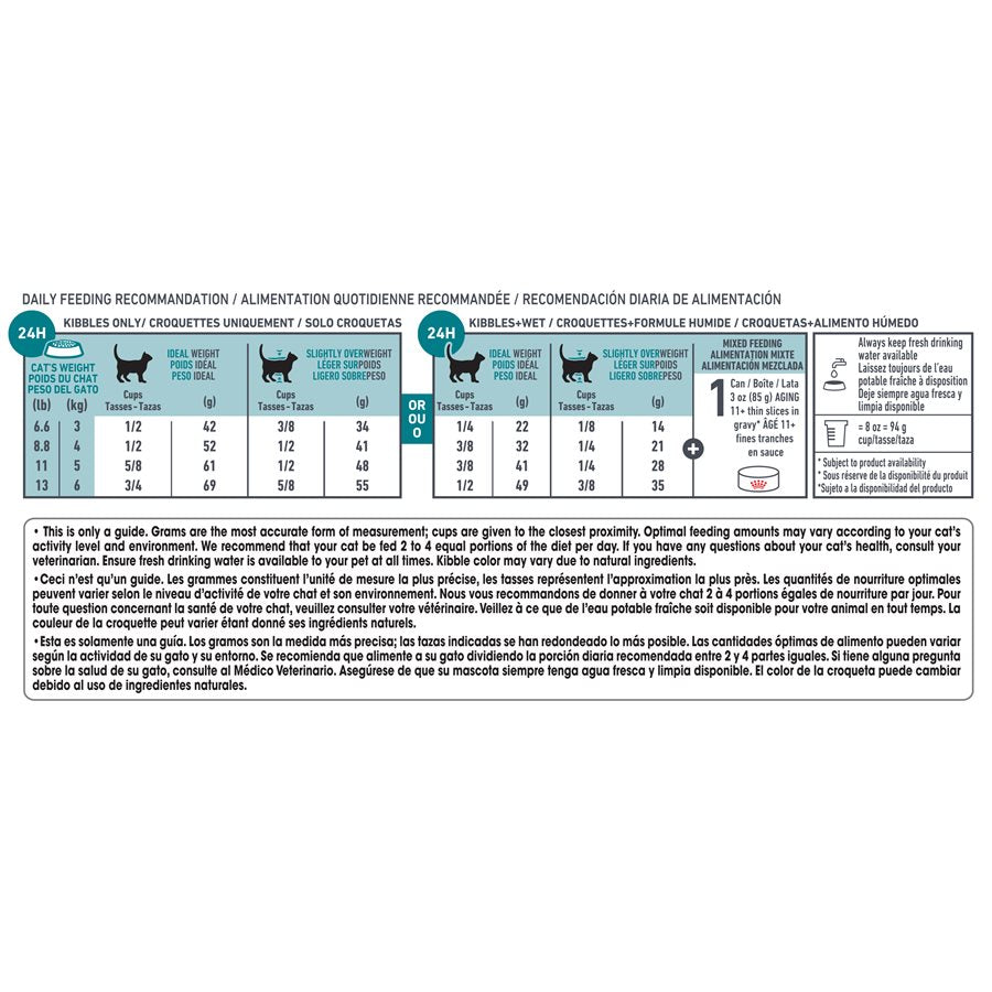 Royal Canin Aging 12+ Nourriture sèche pour chats adultes