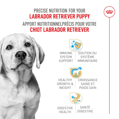 Royal Canin® Breed Health Nutrition® Labrador Retriever Puppy Dry Puppy Food