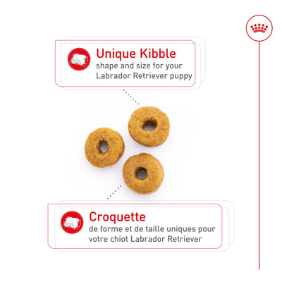 Royal Canin® Breed Health Nutrition® Labrador Retriever Puppy Dry Puppy Food