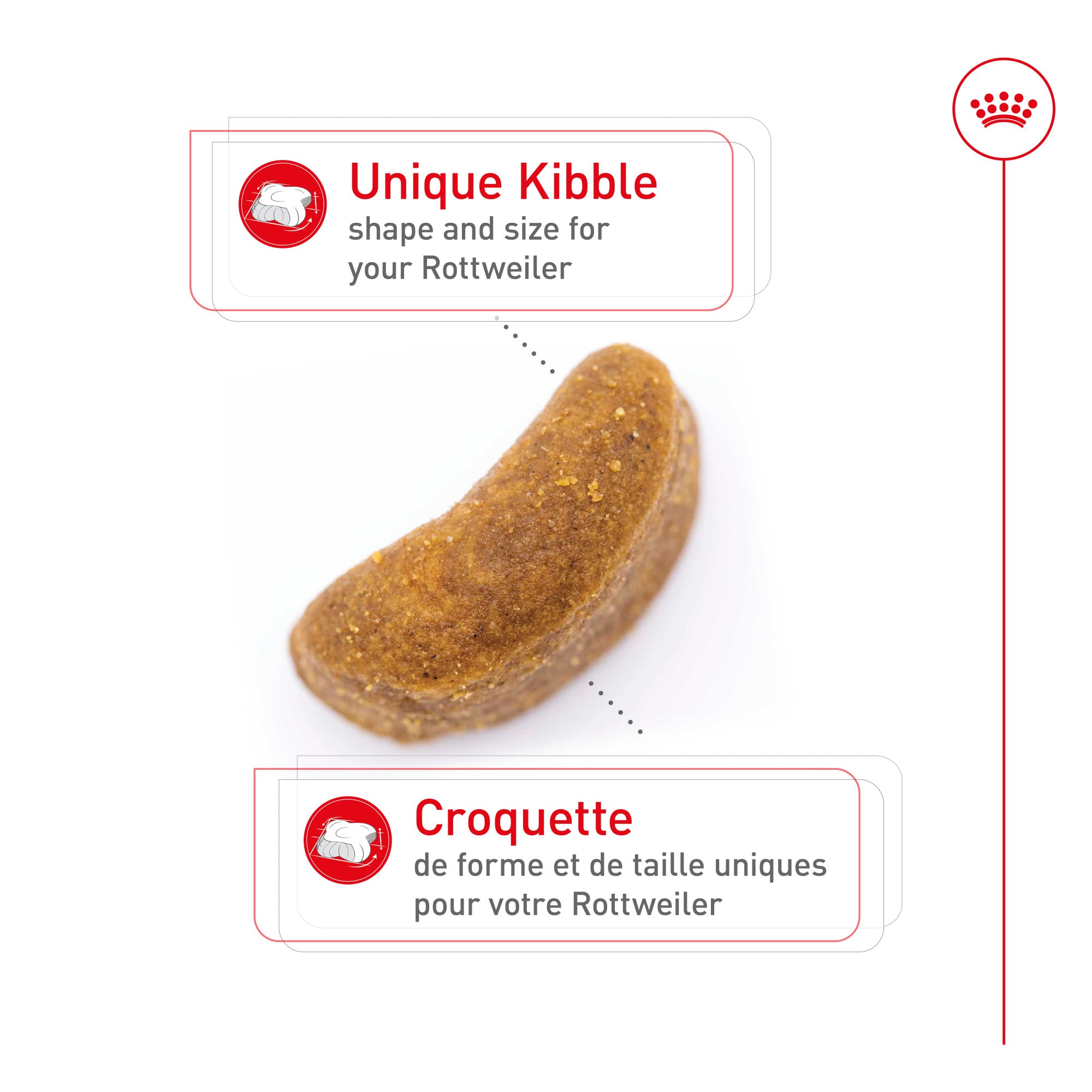 Royal Canin Rottweiler Croquettes pour chien adulte
