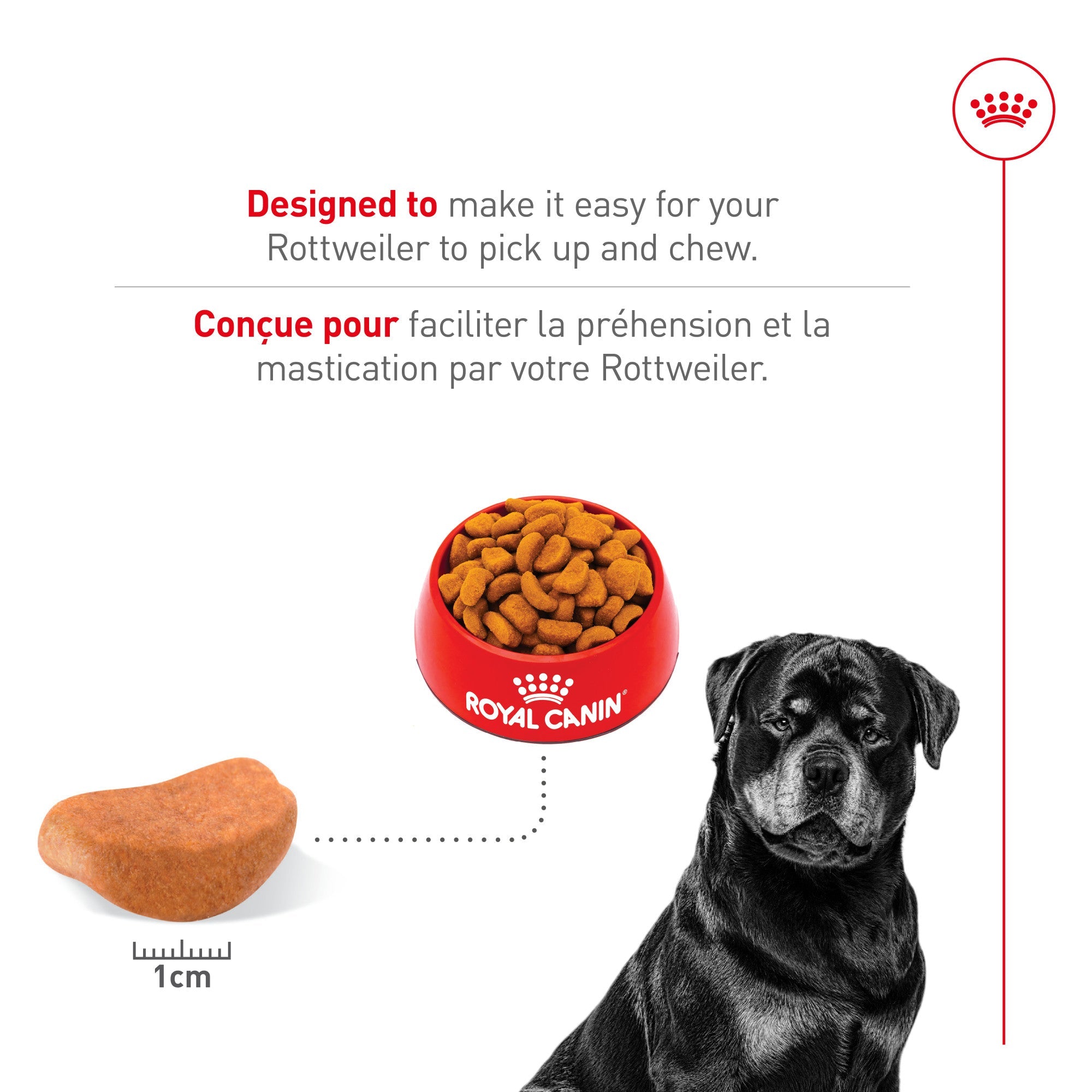 Royal Canin Rottweiler Croquettes pour chien adulte
