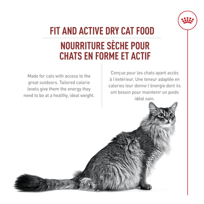 Royal Canin Adult Fit &amp; Active Croquettes Instinctives pour Chats