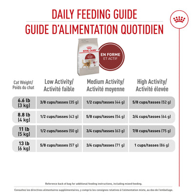 Royal Canin Adult Fit &amp; Active Croquettes Instinctives pour Chats