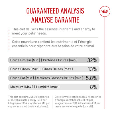 Royal Canin Adult Fit &amp; Active Croquettes Instinctives pour Chats
