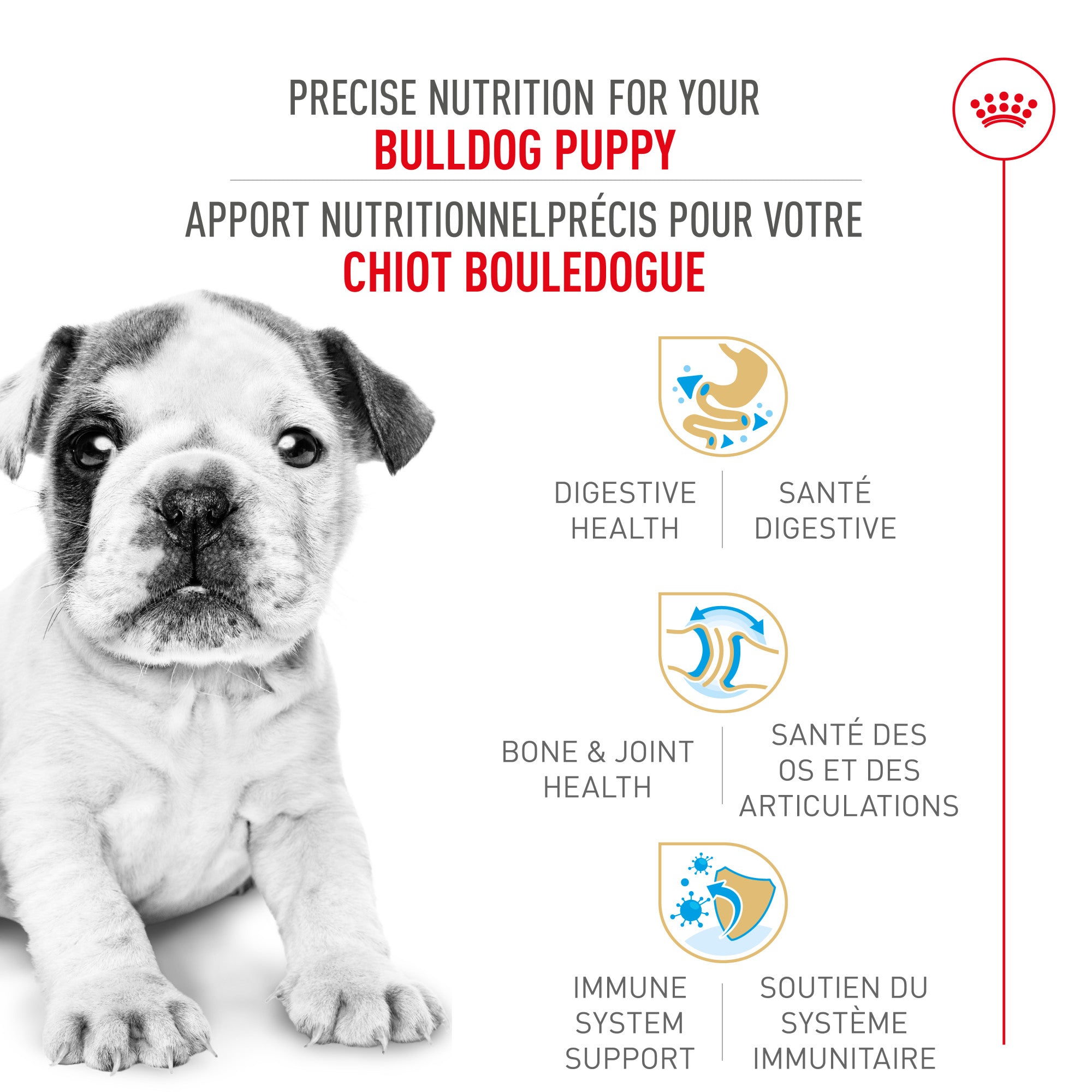 Nourriture pour chiots Royal Canin Bulldog 