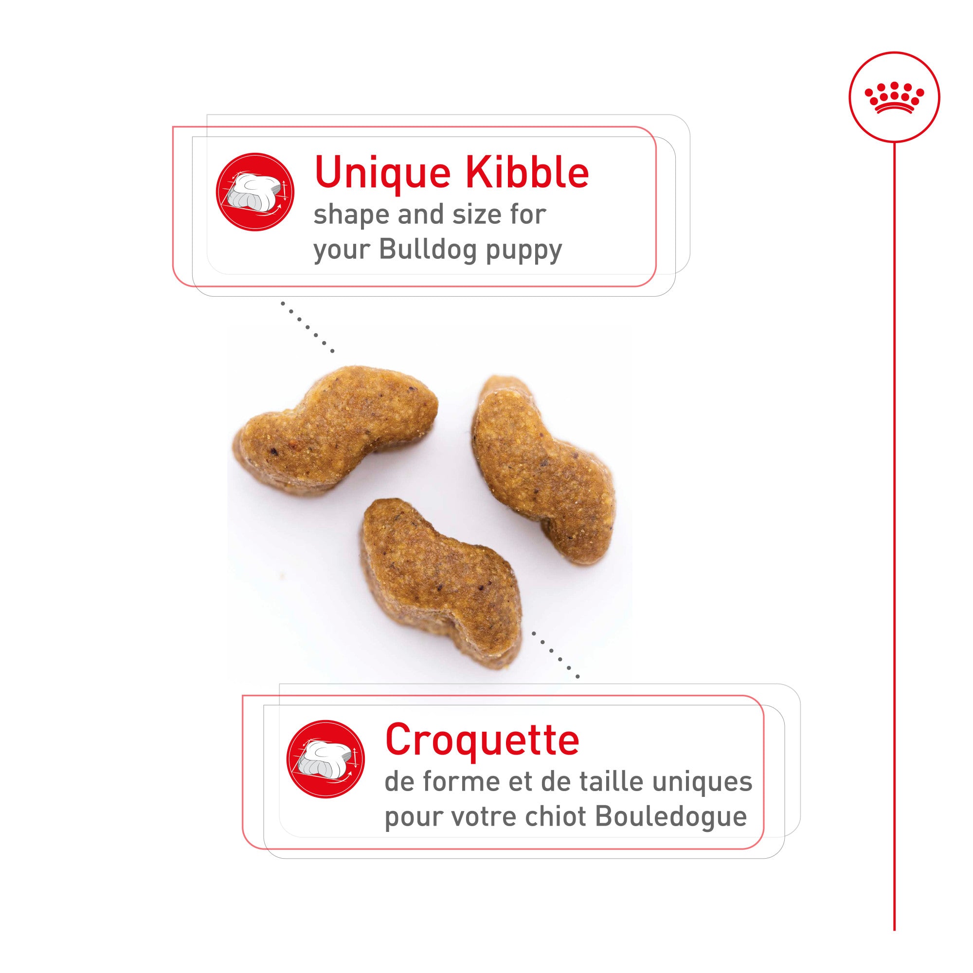 Nourriture pour chiots Royal Canin Bulldog 