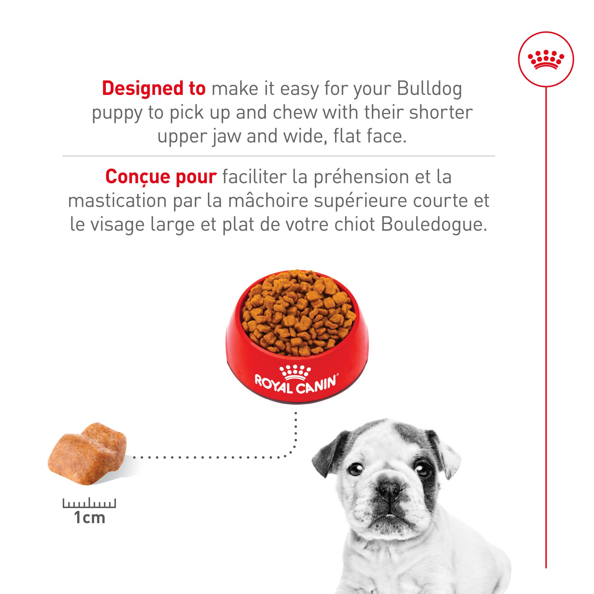 Nourriture pour chiots Royal Canin Bulldog 