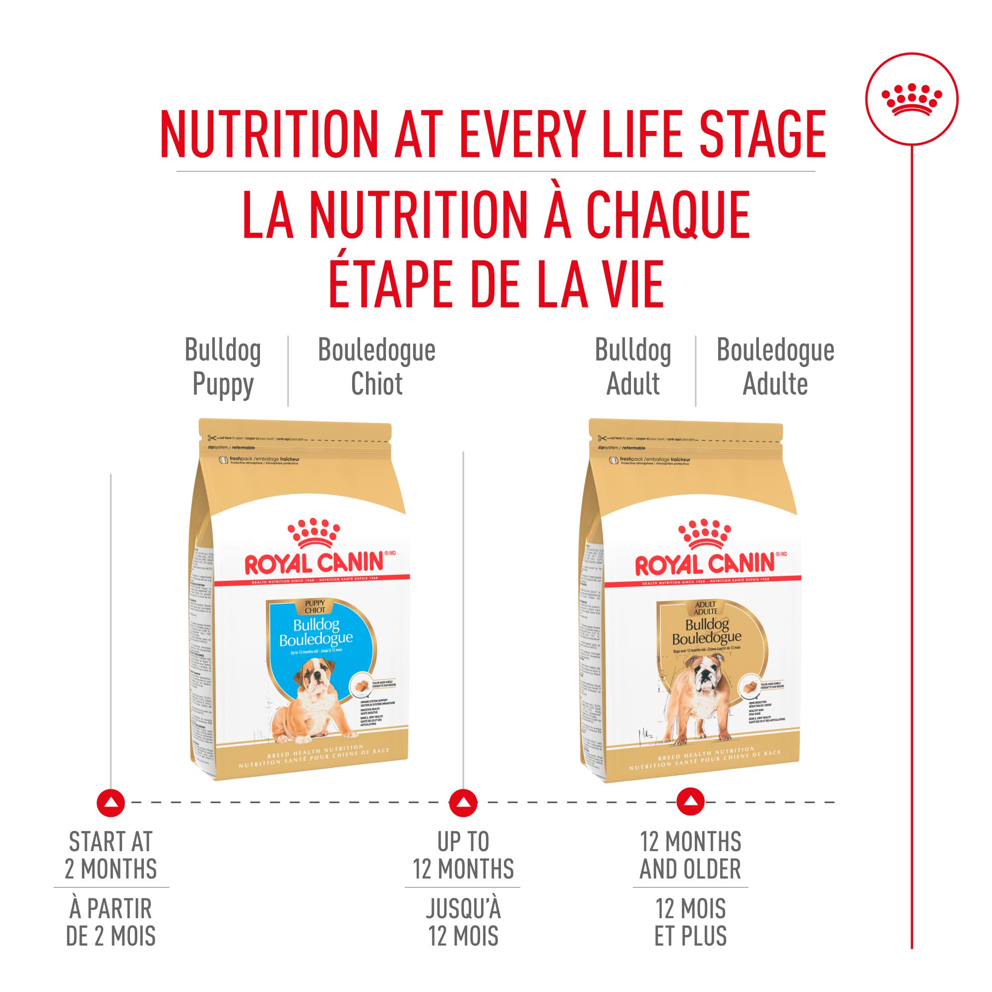 Nourriture pour chiots Royal Canin Bulldog 
