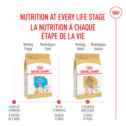 Nourriture pour chiots Royal Canin Bulldog 
