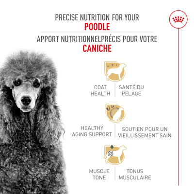 Royal Canin® Breed Health Nutrition® Poodle Adult Dry Dog Food