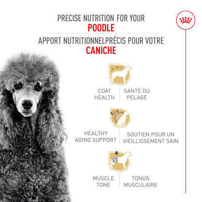 Royal Canin Breed Health Nutrition Caniche Nourriture sèche pour chiens adultes