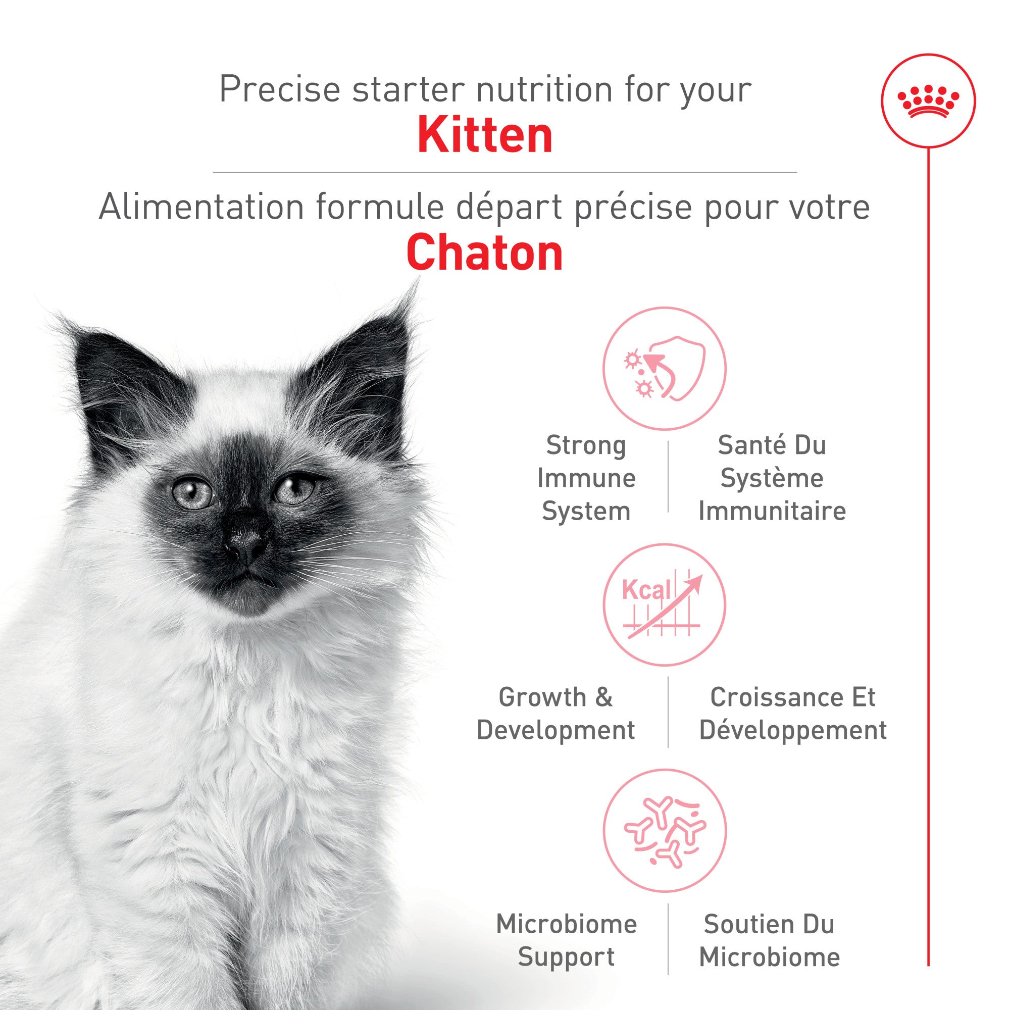 Royal Canin Nutrition Santé Féline Kitten Croquettes pour Chats