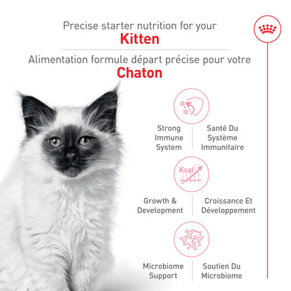 Royal Canin Nutrition Santé Féline Kitten Croquettes pour Chats