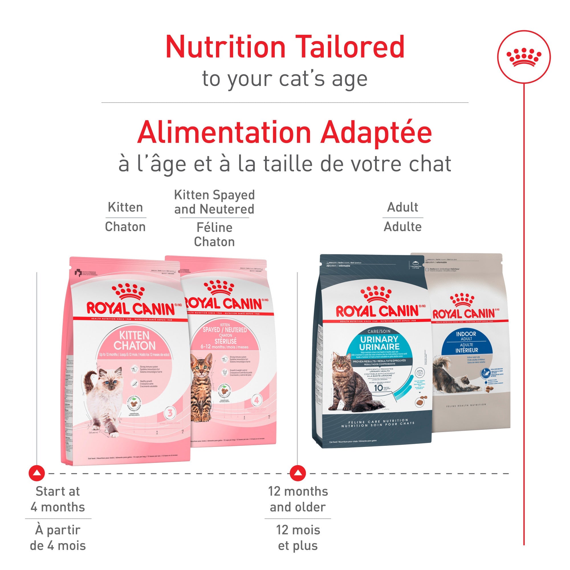 Royal Canin Nutrition Santé Féline Kitten Croquettes pour Chats