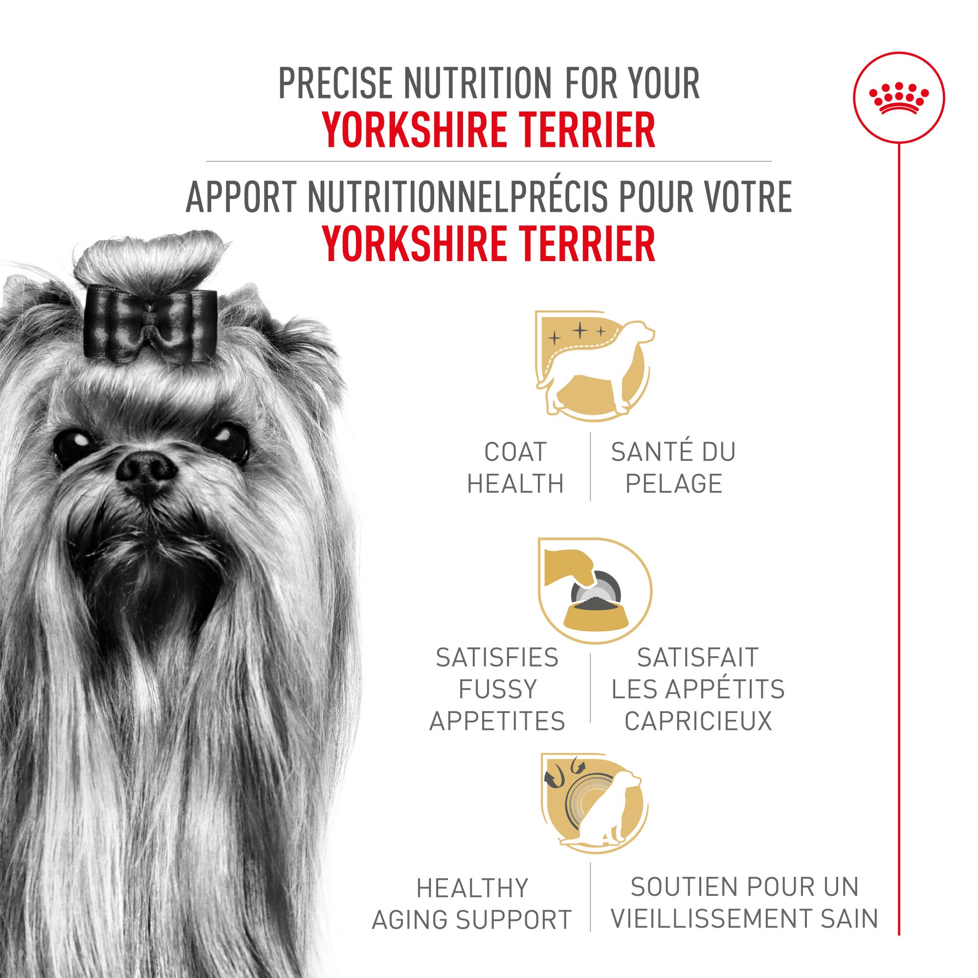 Royal Canin® Breed Health Nutrition® Yorkshire Terrier Adult Dry Dog Food