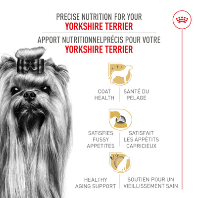 Royal Canin Nourriture pour chien Yorkshire Terrier