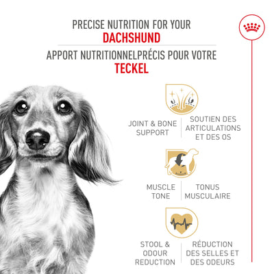 Royal Canin Breed Health Nutrition Dachshund Adult Dry Dog Food