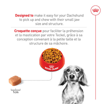 Royal Canin Breed Health Nutrition Dachshund Adult Dry Dog Food
