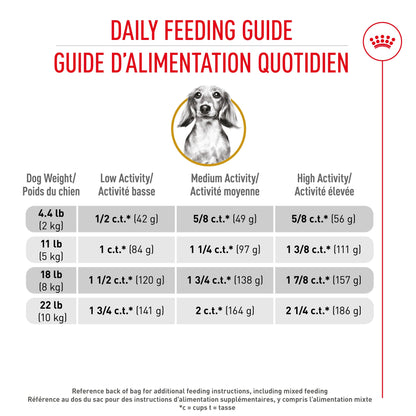 Royal Canin Breed Health Nutrition Dachshund Adult Dry Dog Food
