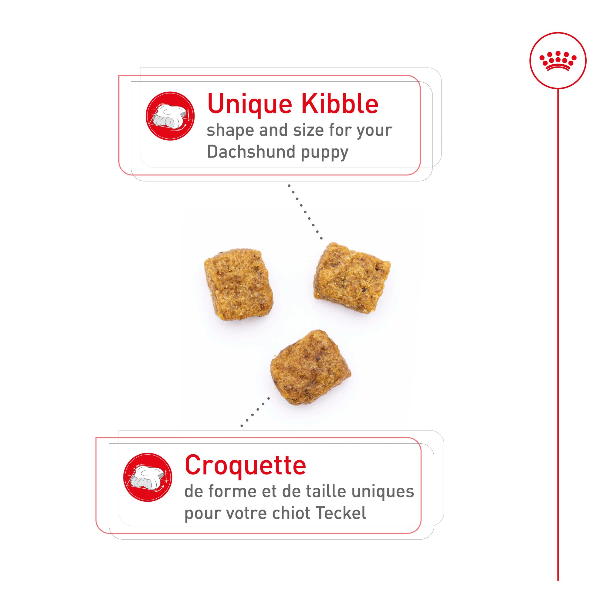 Nourriture pour chiots Royal Canin Bulldog 
