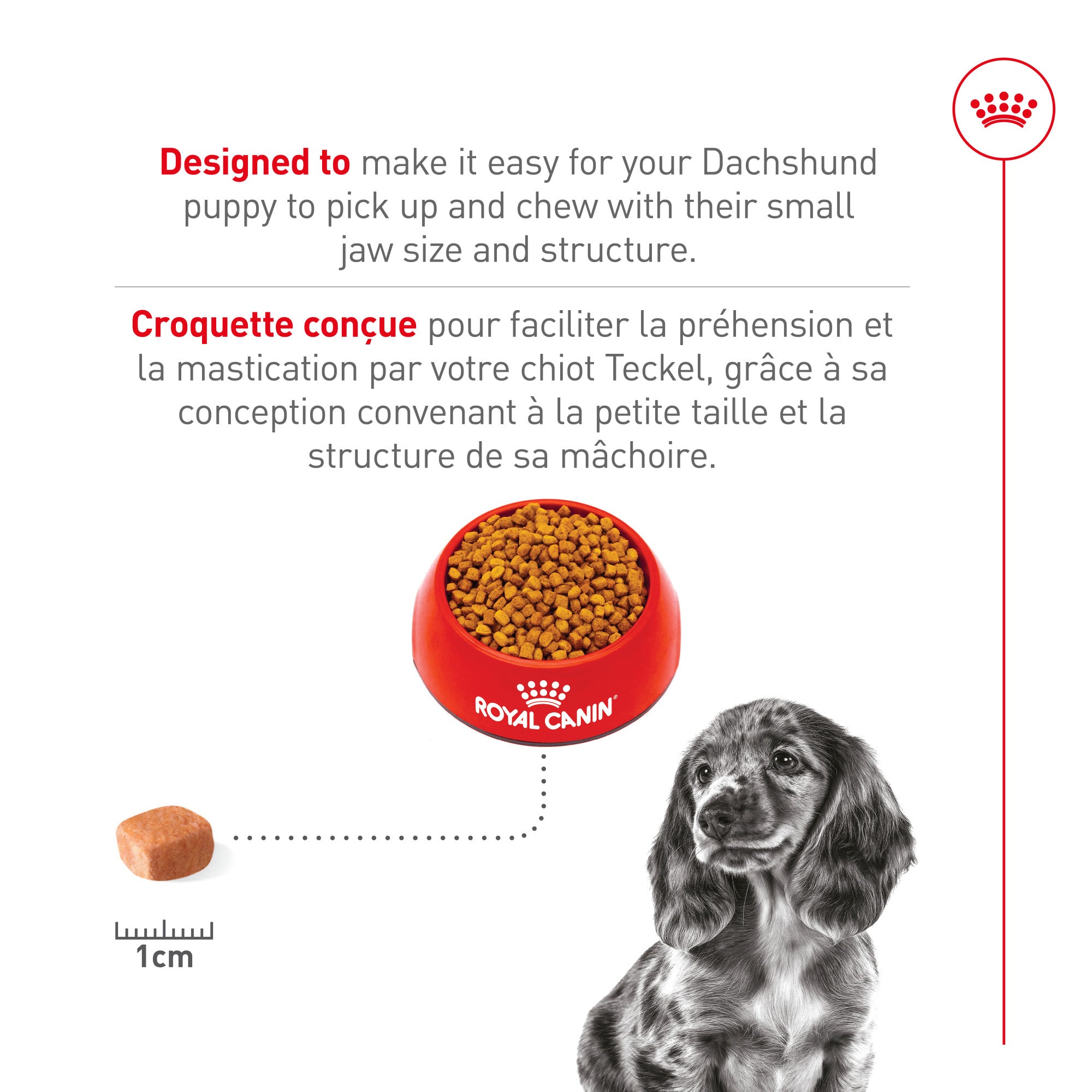 Nourriture pour chiots Royal Canin Bulldog 