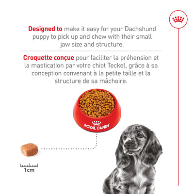 Royal Canin Dachshund Puppy Food