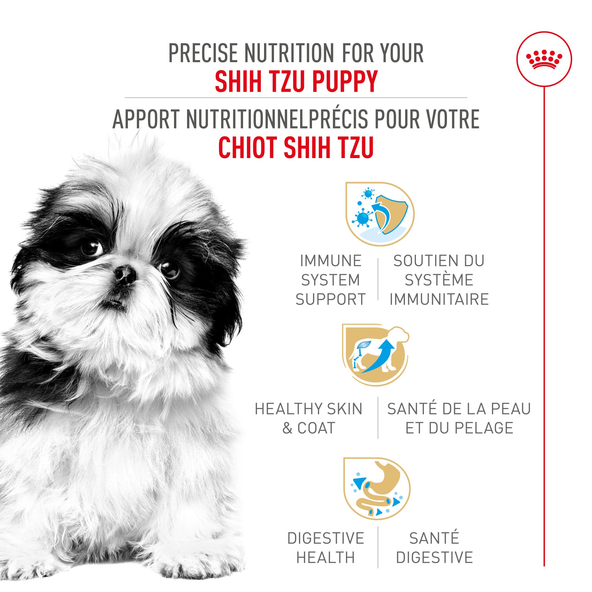 Nourriture pour chiots Royal Canin Bulldog 