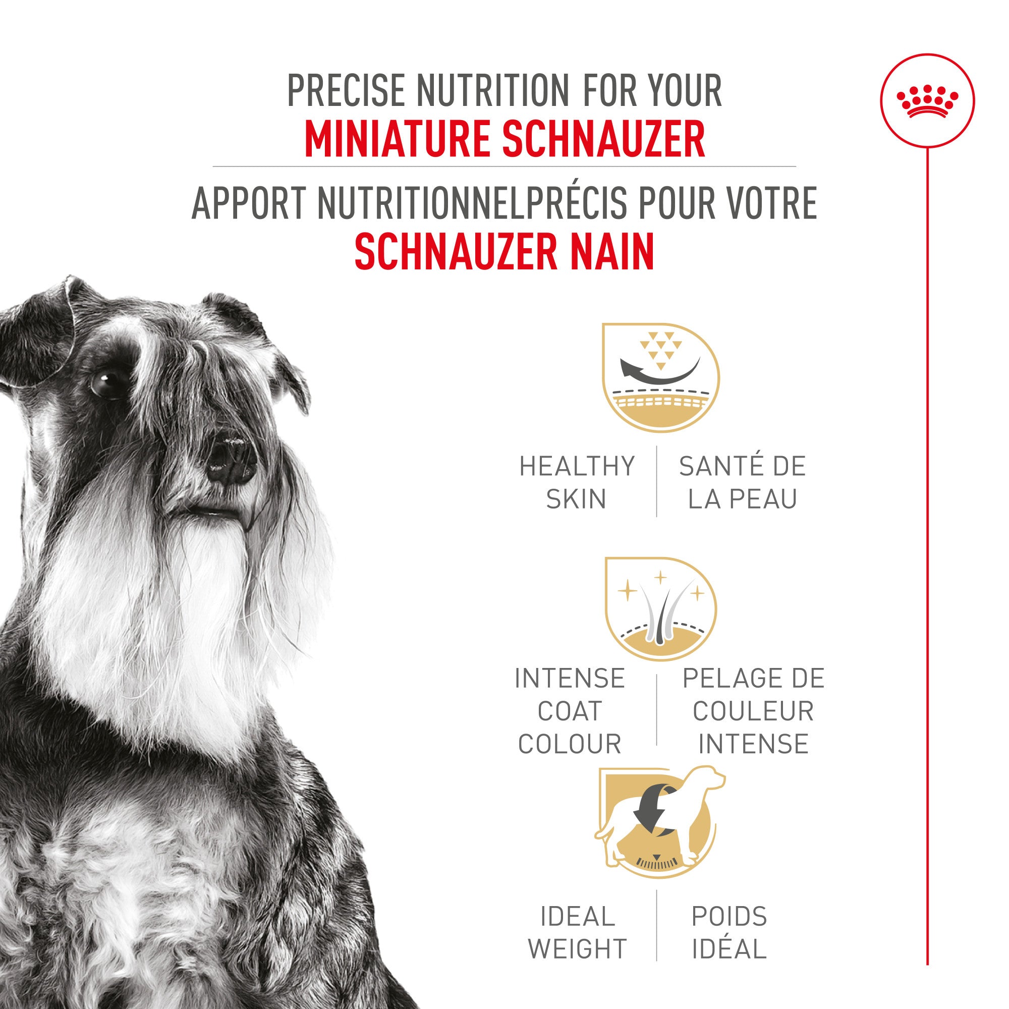 Royal Canin Miniature Schnauzer Adult Dry Dog Food