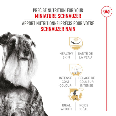 Royal Canin Schnauzer nain Croquettes pour chiens adultes 
