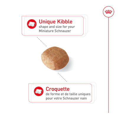 Royal Canin Schnauzer nain Croquettes pour chiens adultes 