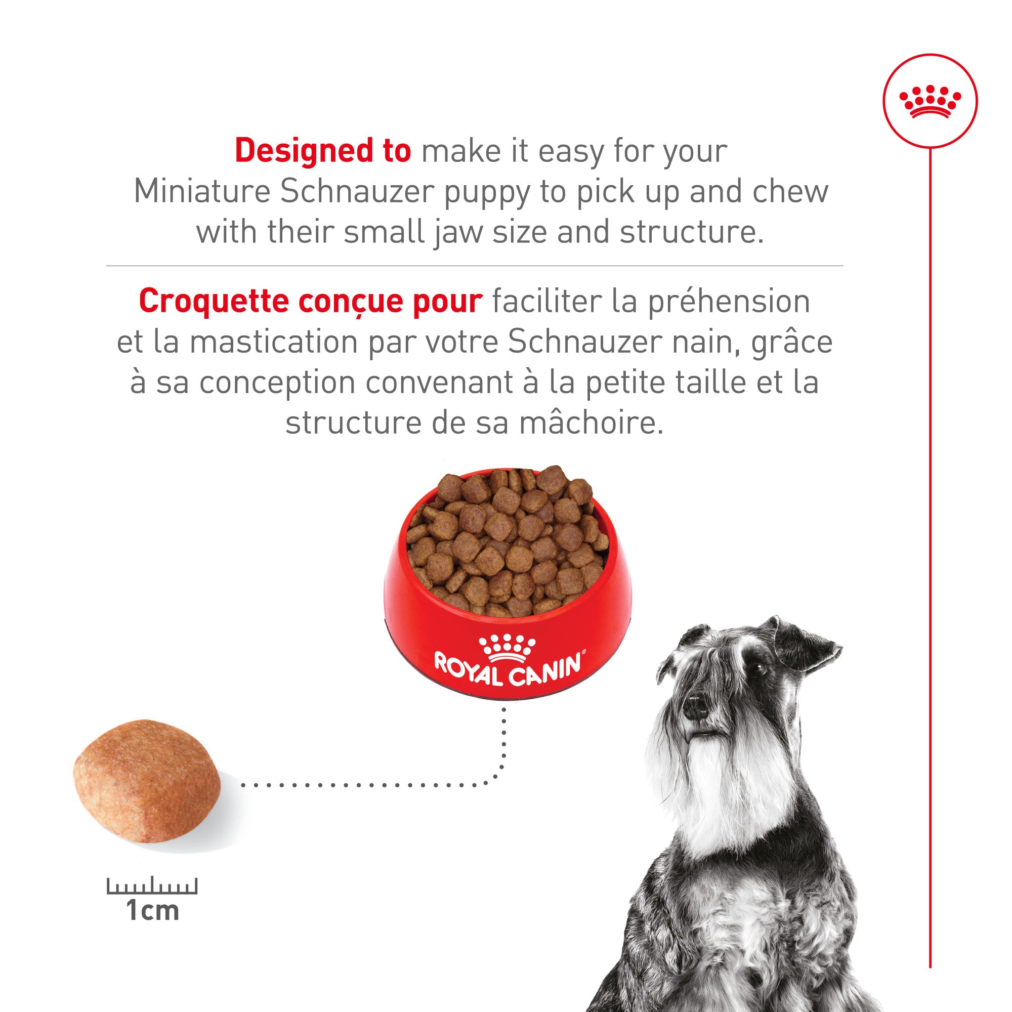 Royal Canin Miniature Schnauzer Adult Dry Dog Food