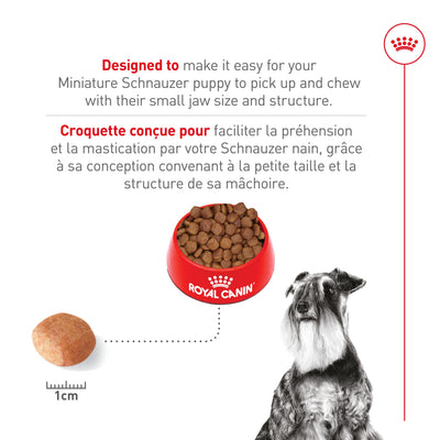 Royal Canin Schnauzer nain Croquettes pour chiens adultes 