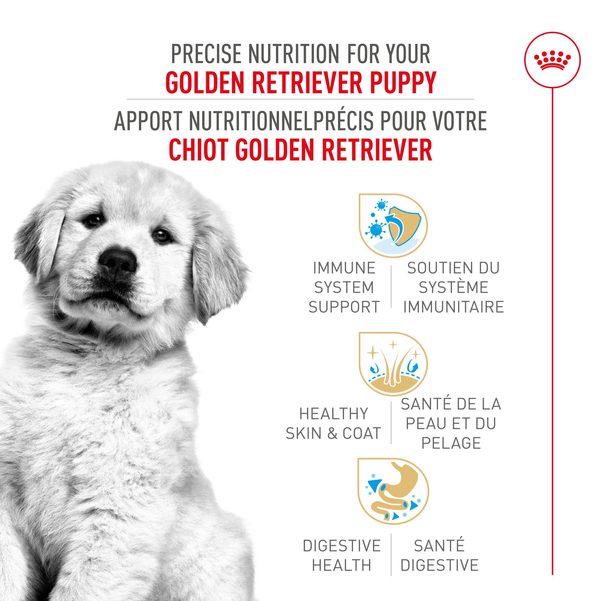 Royal Canin® Breed Health Nutrition® Golden Retriever Puppy Dry Puppy Food