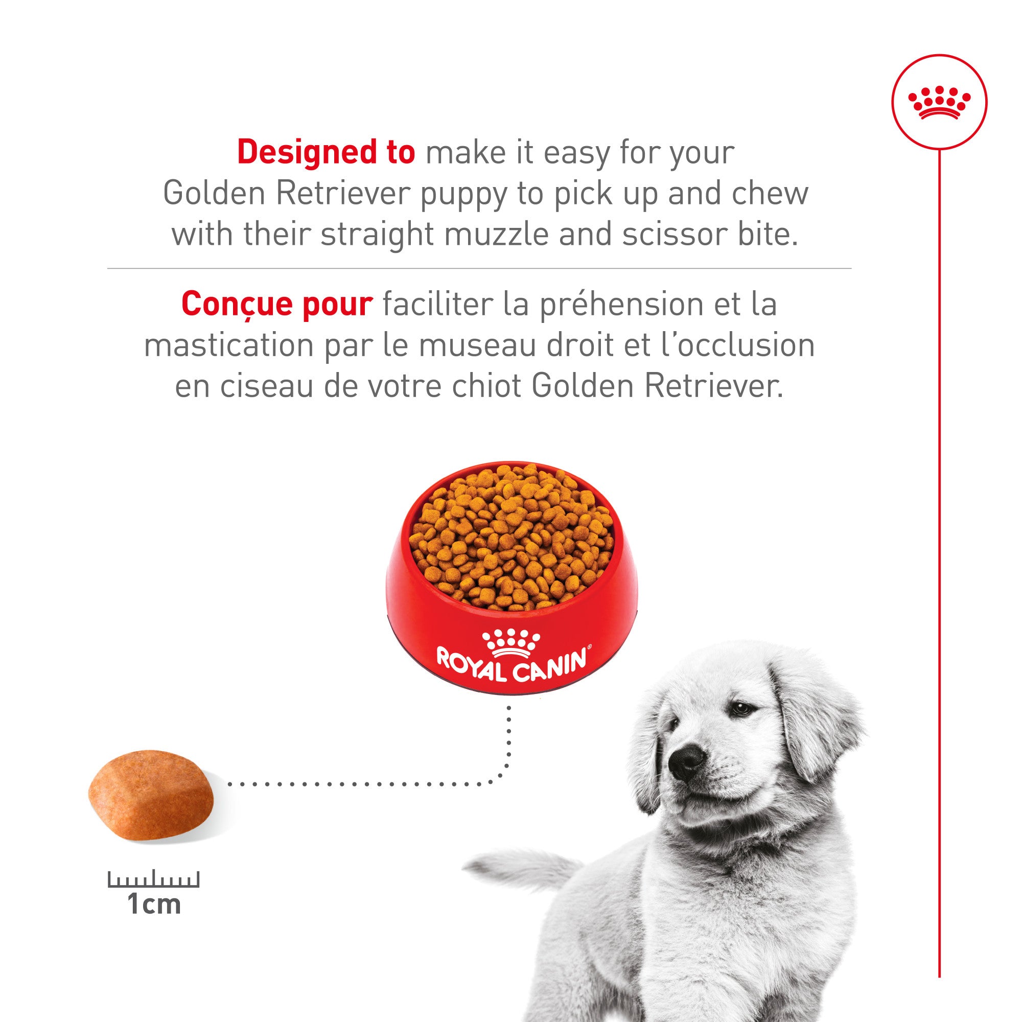 Royal Canin® Breed Health Nutrition® Golden Retriever Puppy Dry Puppy Food