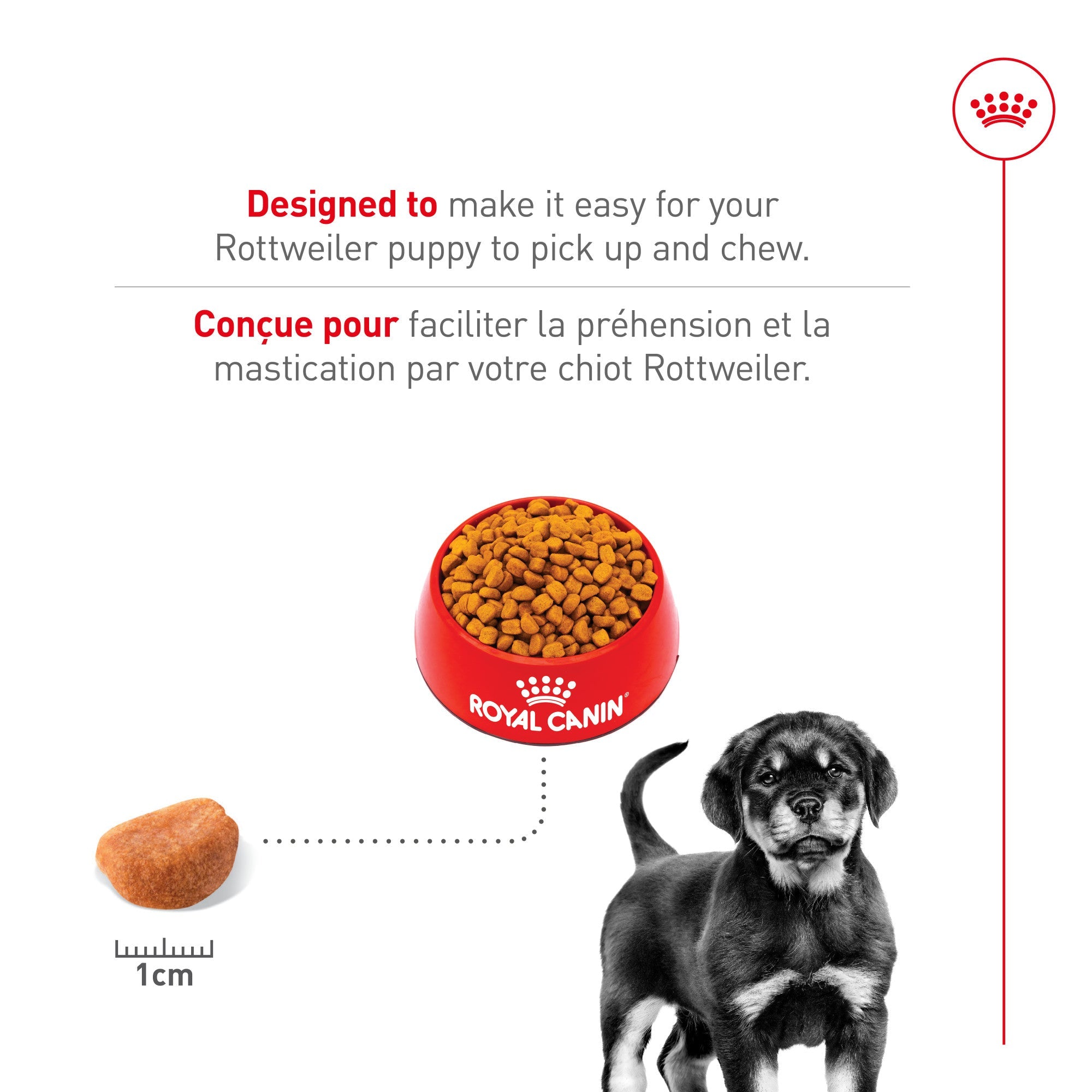 Nourriture pour chiots Royal Canin Rottweiler
