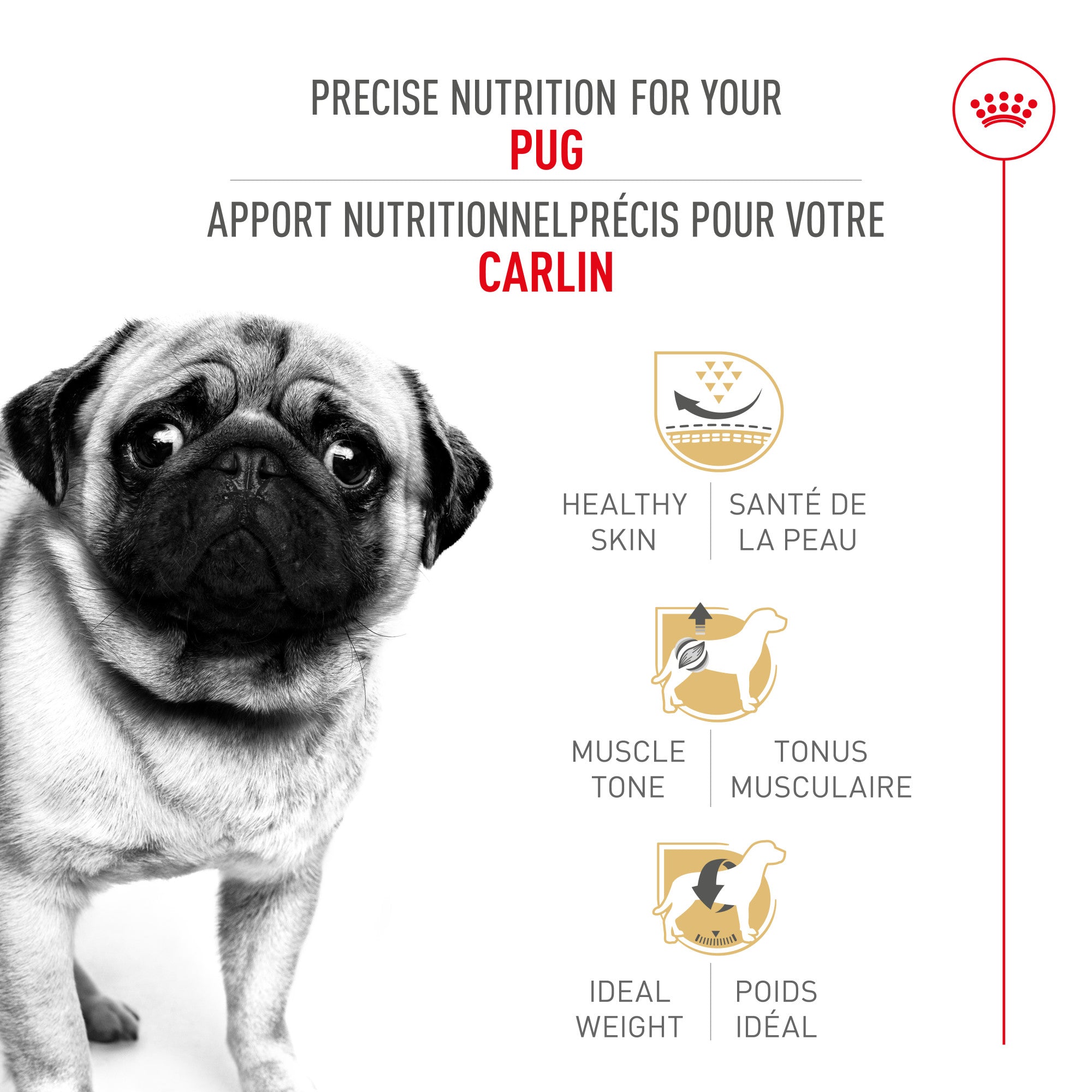 Royal Canin® Breed Health Nutrition® Pug Adult Dry Dog Food