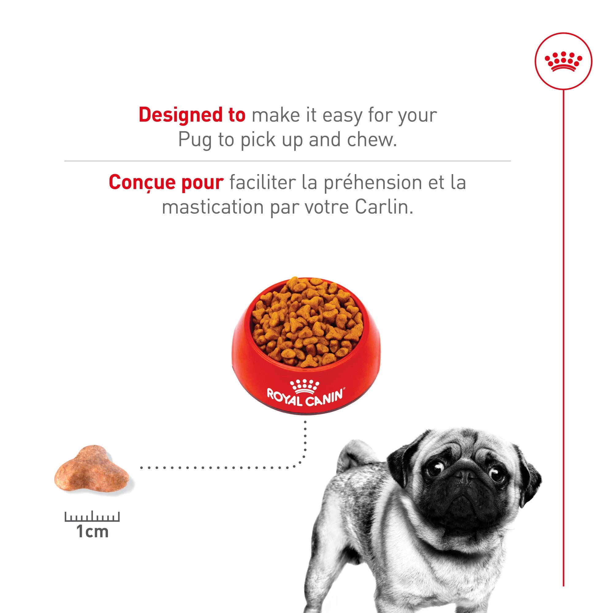 Royal Canin® Breed Health Nutrition® Pug Adult Dry Dog Food
