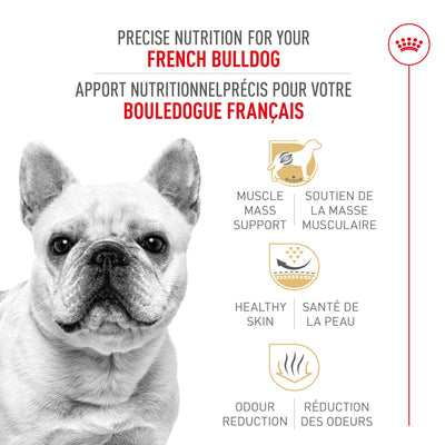 Croquettes Royal Canin Bouledogue Français Adulte
