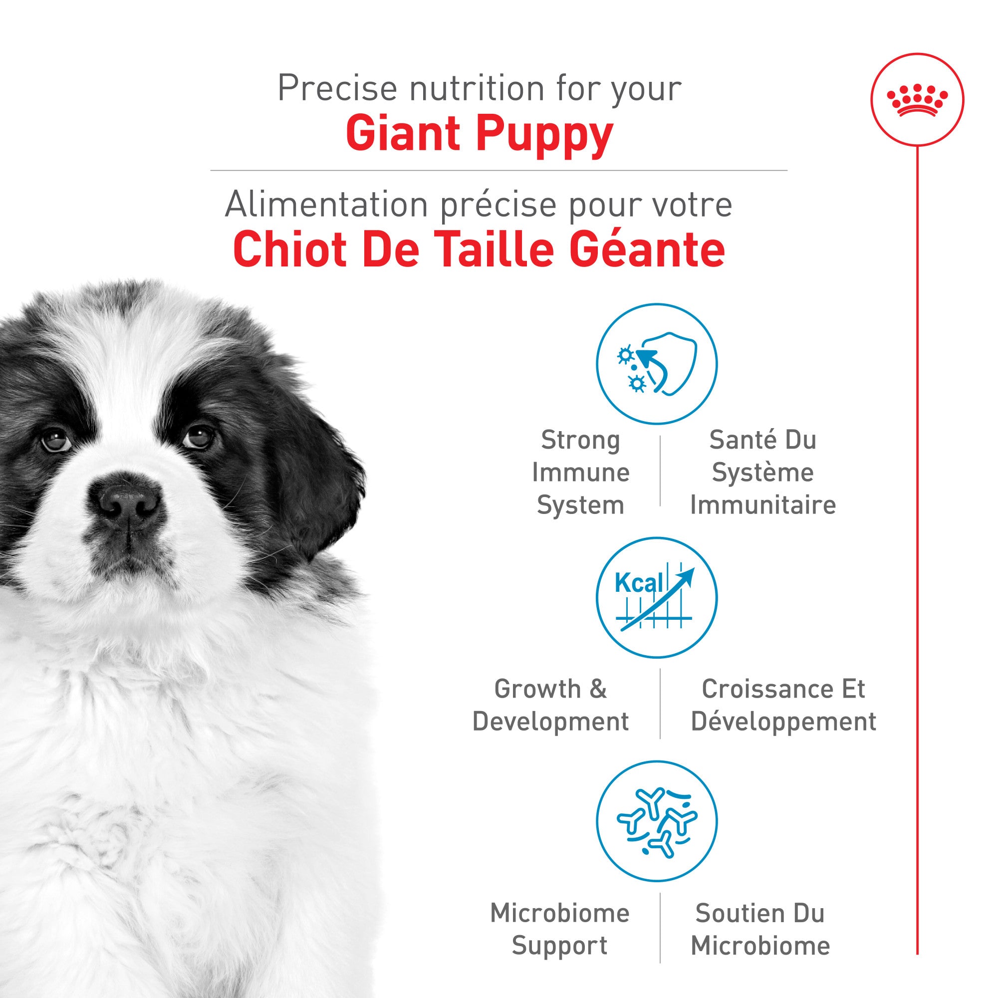 Royal Canin Dog Chiot de race géante