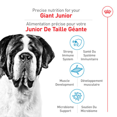 Royal Canin Dog Food Giant Breed Junior