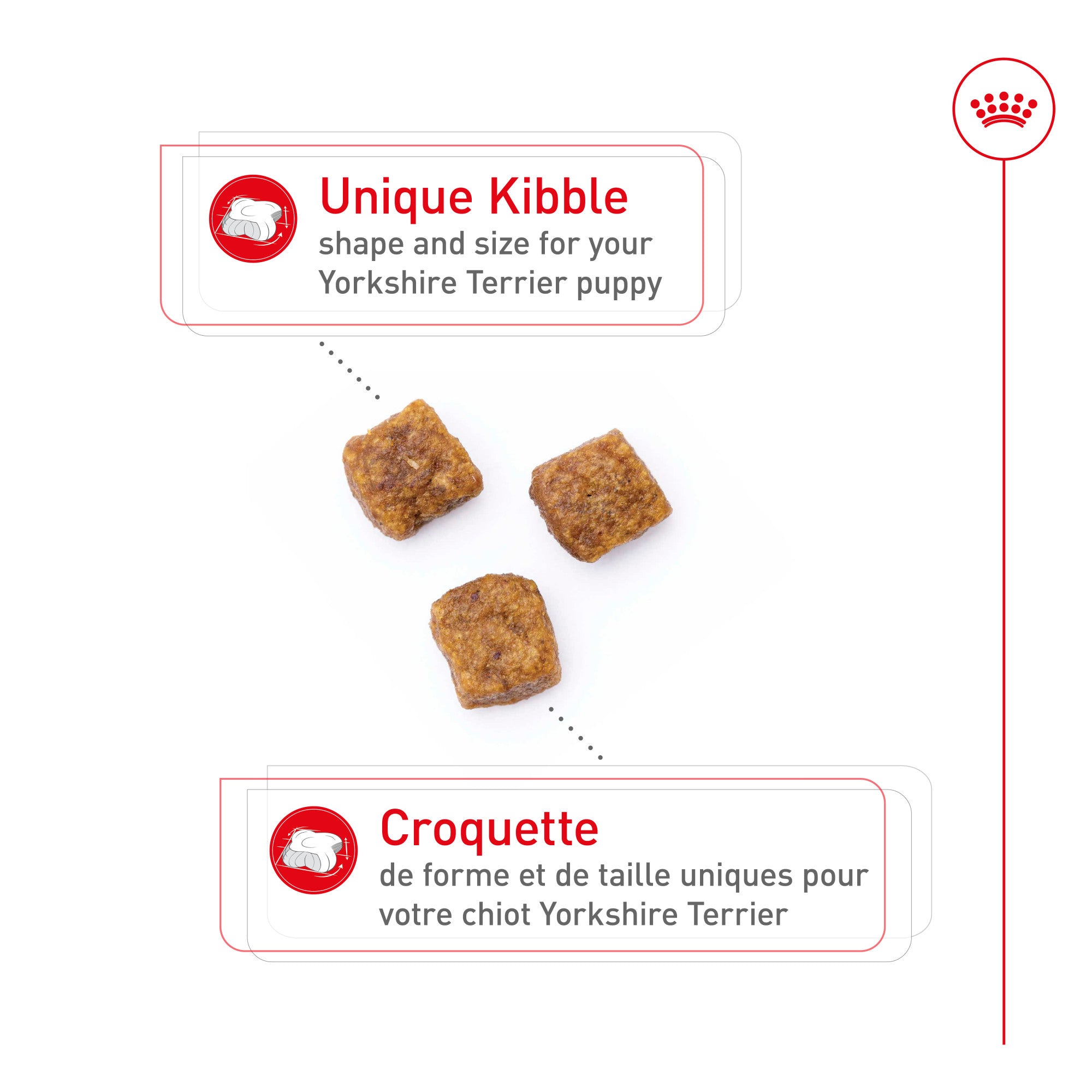 Nourriture pour chiots Royal Canin Bulldog 