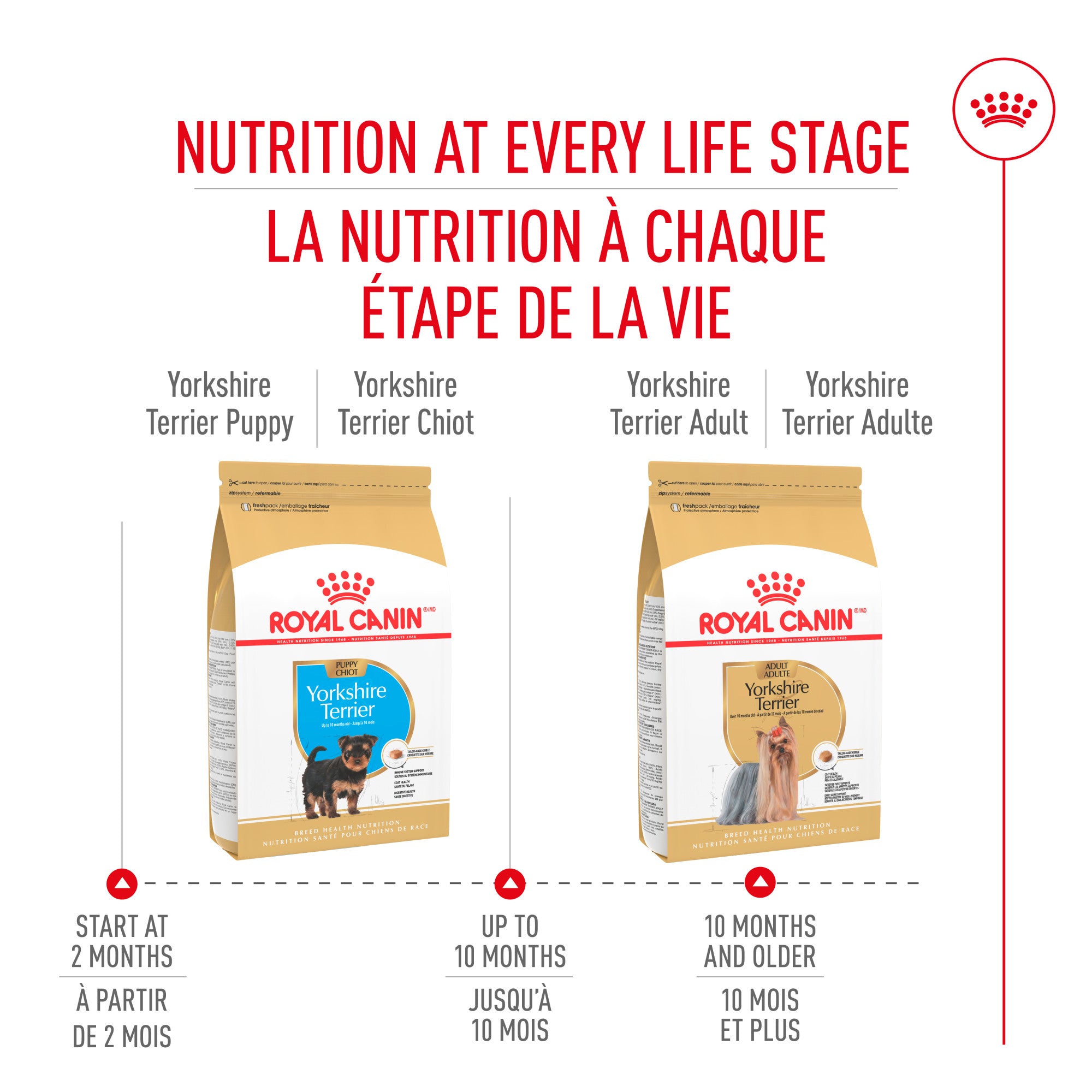Nourriture pour chiots Royal Canin Bulldog 