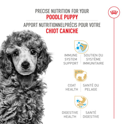 Royal Canin Poodle Puppy Food