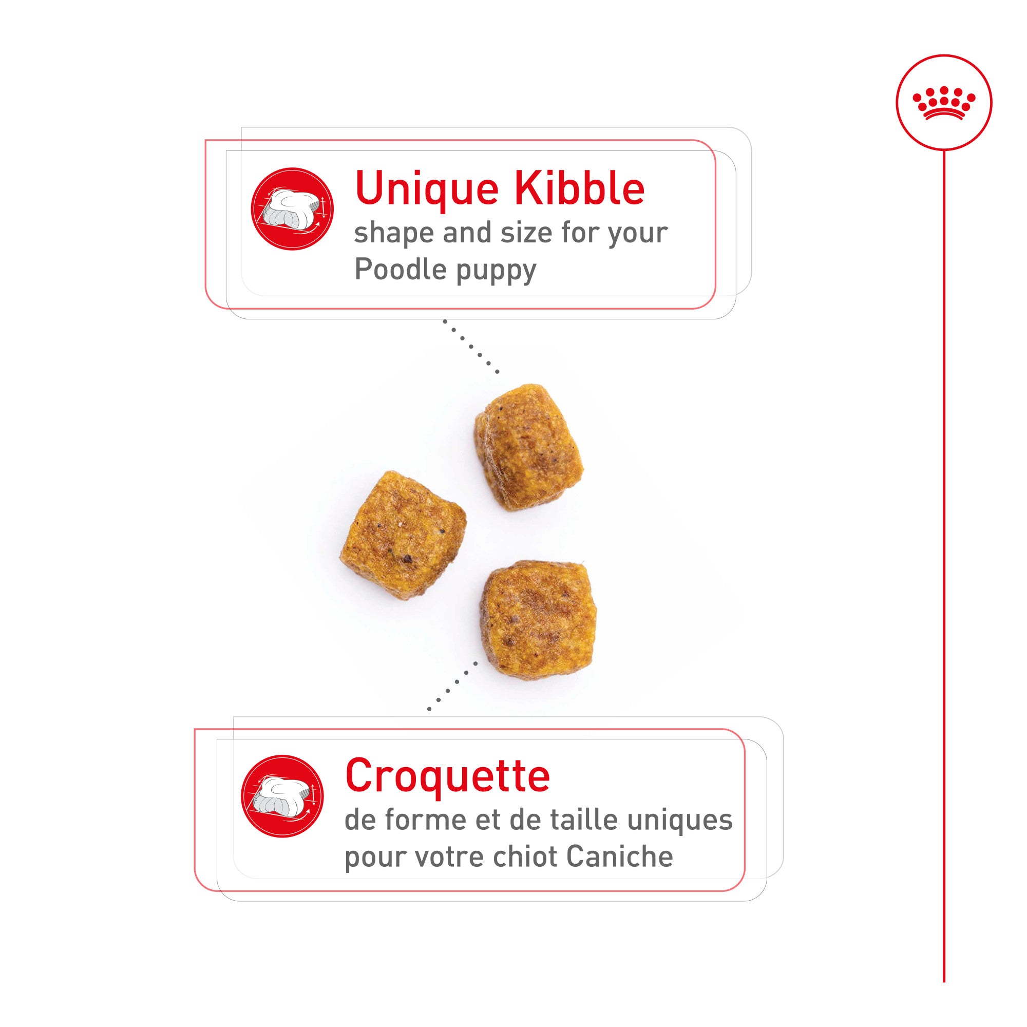 Nourriture pour chiots Royal Canin Bulldog 