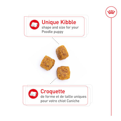 Royal Canin Poodle Puppy Food