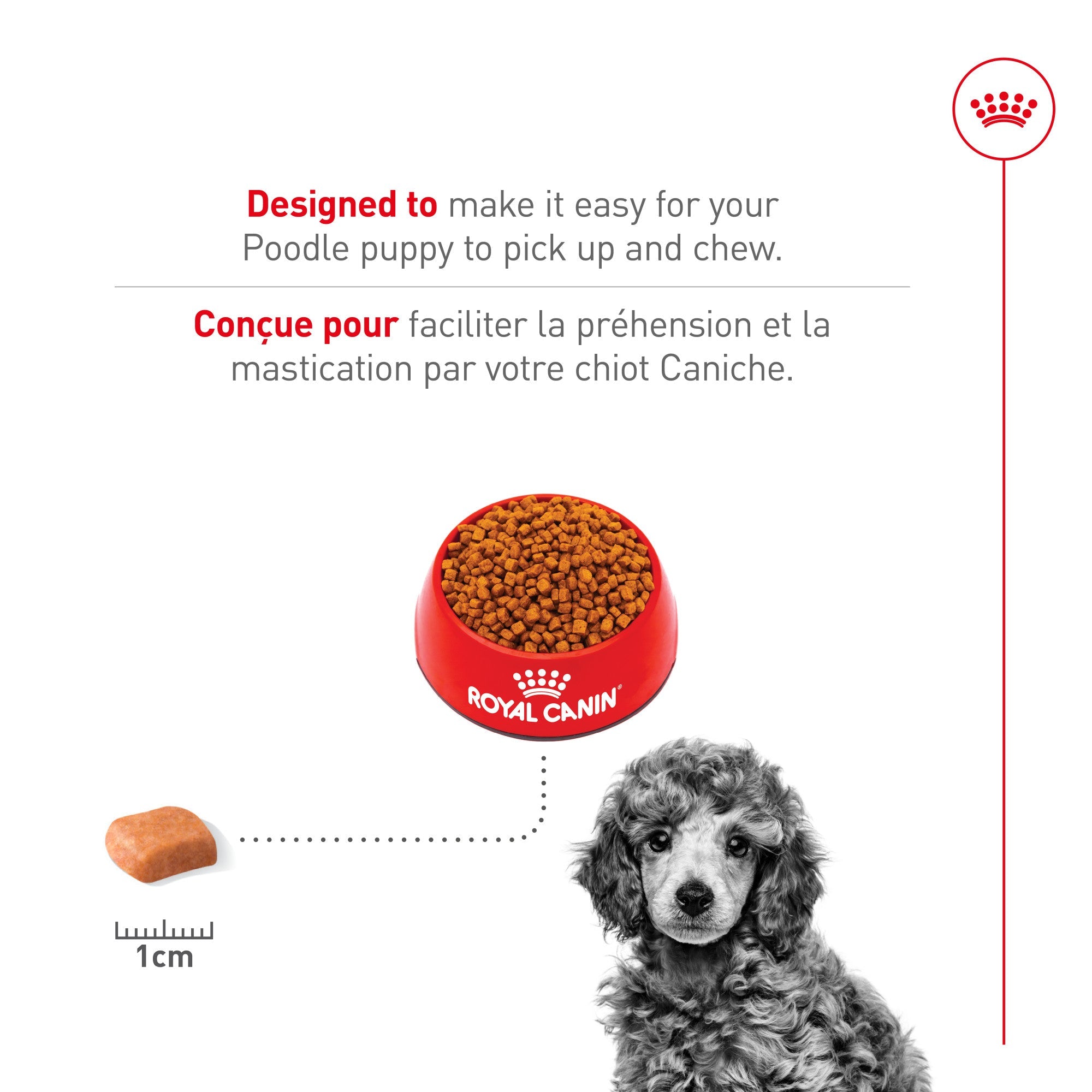 Nourriture pour chiots Royal Canin Bulldog 